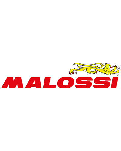 Roulement Vilbrequin Moto MALOSSI Rodamiento esférico cigüeñal Ø25x62x12 (C4) MHR