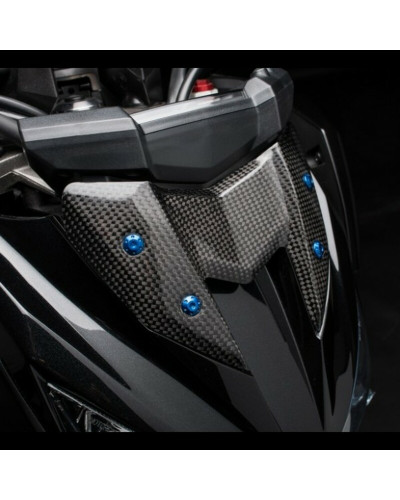 Protection Réservoir Moto LIGHTECH Carter de compteur LIGHTECH carbone brillant Kawasaki Z800