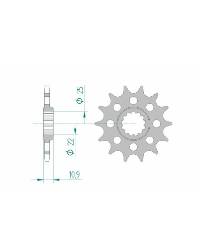 Pignon Moto AFAM Pignon AFAM 13 dents acier type 21603 pas 520 YAMAHA FZ 6 N