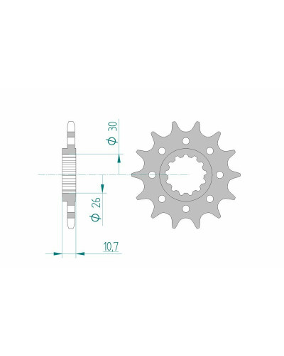 Pignon Moto AFAM Pignon AFAM 15 dents acier type 21804 pas 520 YAMAHA YZF 1000 R1