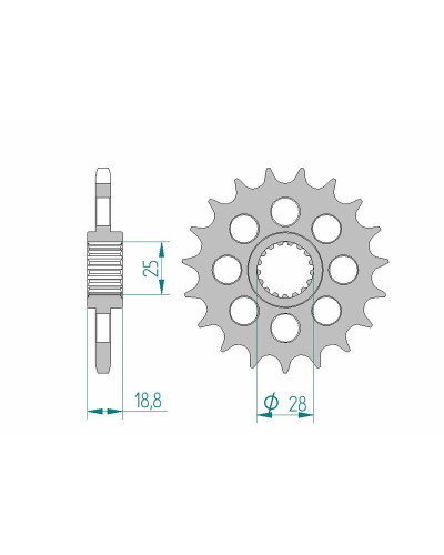 Pignon Moto AFAM Pignon AFAM 19 dents acier type 61602 pas 525 BMW F 800 R