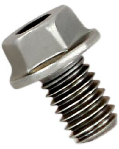 Echappement diversv AKRAPOVIC BOLT FB40