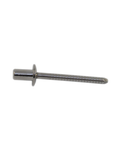 Echappement diversv AKRAPOVIC RIVET SS LONG D4 8x12 CLEAR