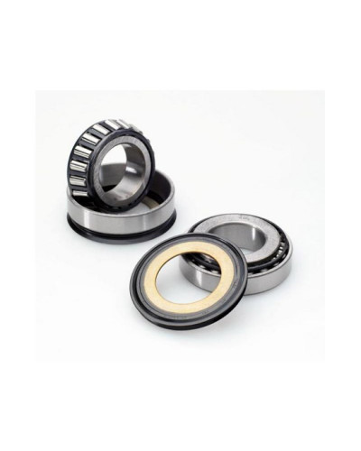 Roulement Direction Moto ALL BALLS All-Balls Racing 22-1008