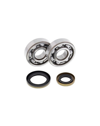Moteur divers ALL BALLS All-Balls Racing 24-1006