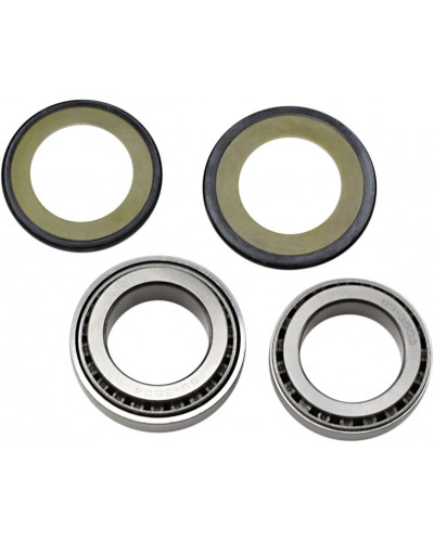 Kit de roulemrnts ALL BALLS ALL BALLS STRG STEM BRGS