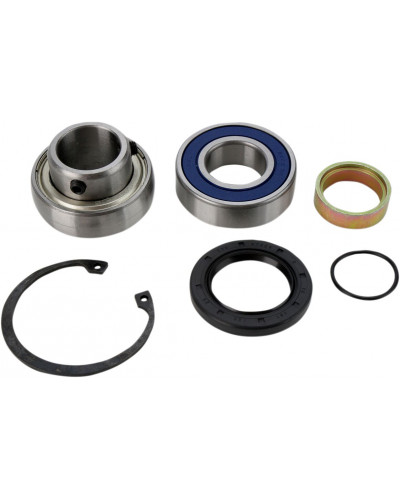 Guide Chaine Moto ALL BALLS CHAINCASE BEARING-SEAL KT