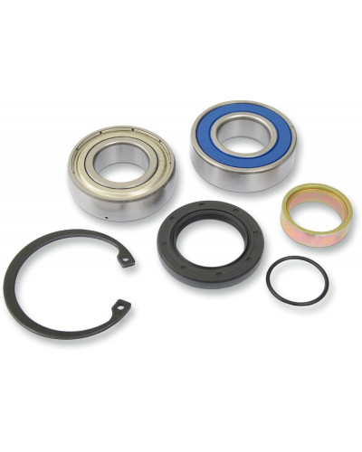 Guide Chaine Moto ALL BALLS CHAINCASE BEARING-SEAL KT