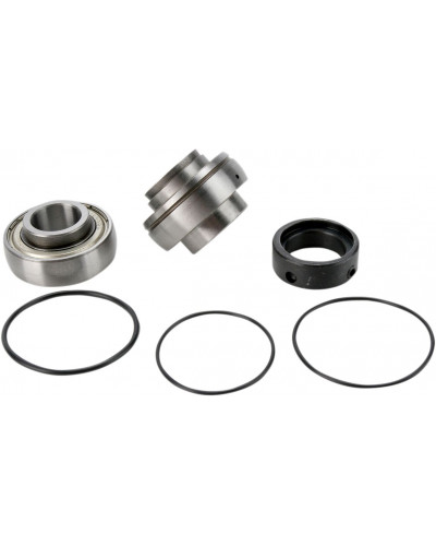 Guide Chaine Moto ALL BALLS CHAINCASE BEARING-SEAL KT