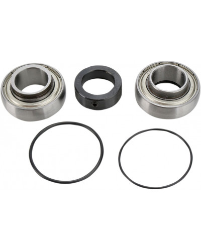 Guide Chaine Moto ALL BALLS CHAINCASE BEARING-SEAL KT