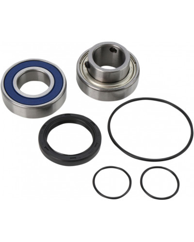 Guide Chaine Moto ALL BALLS CHAINCASE BEARING-SEAL KT