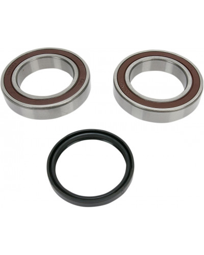 Guide Chaine Moto ALL BALLS CHAINCASE BEARING-SEAL KT