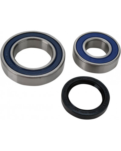 Guide Chaine Moto ALL BALLS CHAINCASE BEARING-SEAL KT
