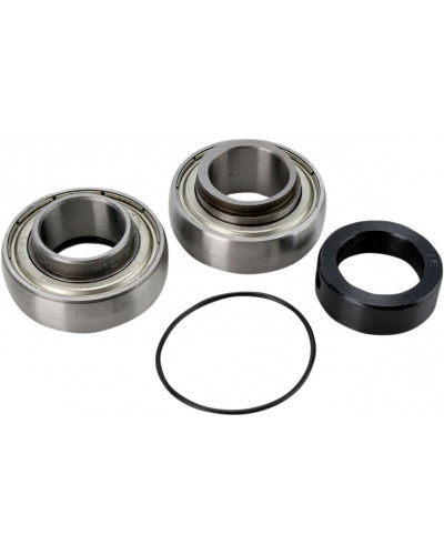 Guide Chaine Moto ALL BALLS CHAINCASE BEARING-SEAL KT