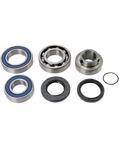 Guide Chaine Moto ALL BALLS CHAINCASE BEARING-SEAL KT