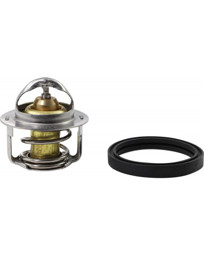 Thermostat ALL BALLS THERMOSTAT POLARIS