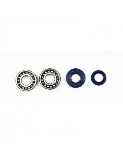 Moteur divers ATHENA CRANKSHAFT REBUILDING KIT Moteur divers ATHENA CRANKSHAFT REBUILDING KIT