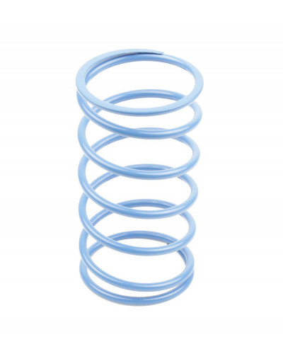 Ressort Embrayage Moto ATHENA VARIATOR SPRINGS