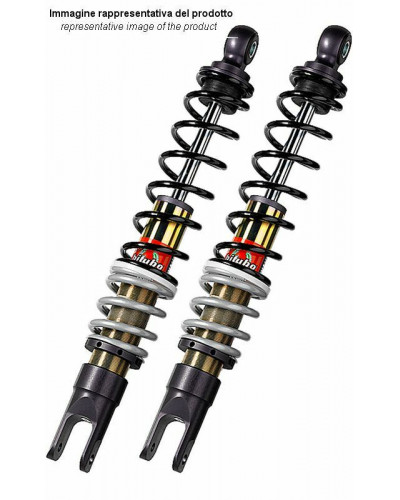 Accessoires Amortisseurs Moto BITUBO Bi-amortisseur arrière BITUBO YGB02 - Noir/Gris