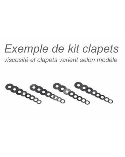 Kits Clapets Fourche Moto BITUBO CLAPETS BITUBO POUR FOURCHE DE YZF-R1 02-03