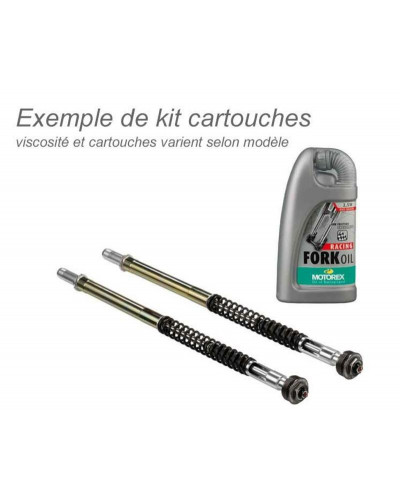 Kit Cartouches Fourche Moto BITUBO Kit cartouche BITUBO + huile de fourche MOTOREX Yamaha T-Max 500