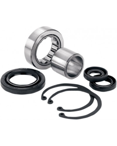 TRANSMISSION PRIMAIRE DRAG SPECIALTIES BEARING W/SL IN PRM MNSFT TRANSMISSION PRIMAIRE DRAG SPECIALTIES BEARING W/SL IN PRM MNSFT