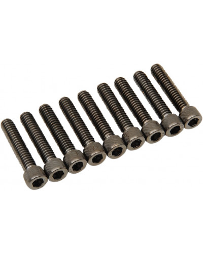 COLLIER DE SERRAGE DRAG SPECIALTIES BOLT KIT M8 CAM CVR B/C K COLLIER DE SERRAGE DRAG SPECIALTIES BOLT KIT M8 CAM CVR B/C K