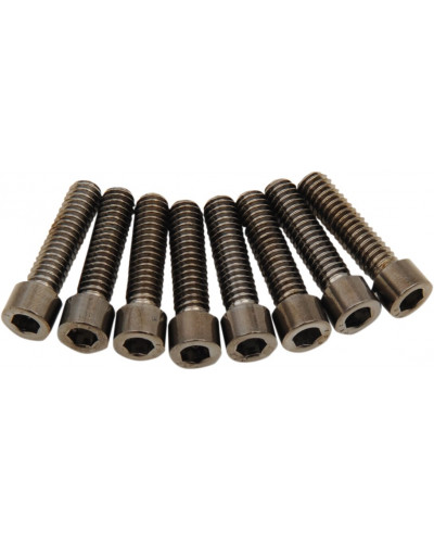 COLLIER DE SERRAGE DRAG SPECIALTIES BOLT KIT M8 LIFTER B/C S COLLIER DE SERRAGE DRAG SPECIALTIES BOLT KIT M8 LIFTER B/C S