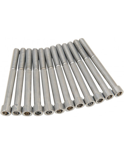 COLLIER DE SERRAGE DRAG SPECIALTIES BOLT KIT M8CRKCAS S AL CH COLLIER DE SERRAGE DRAG SPECIALTIES BOLT KIT M8CRKCAS S AL CH