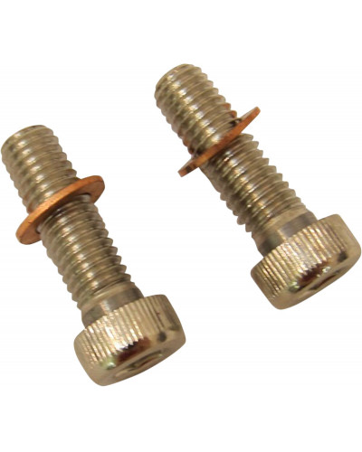 COLLIER DE SERRAGE DRAG SPECIALTIES SCREWS W/WSHRS DMPR TB COLLIER DE SERRAGE DRAG SPECIALTIES SCREWS W/WSHRS DMPR TB