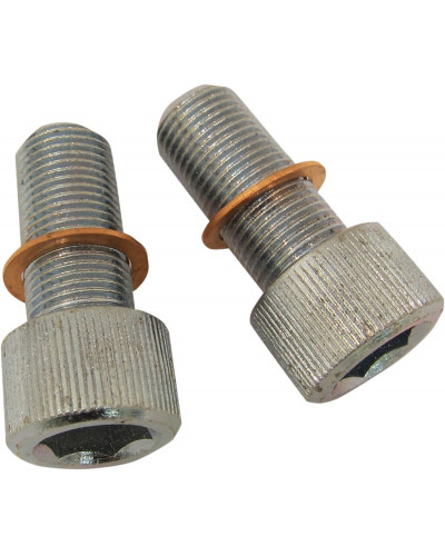 VISSERIE SPECIALE DRAG SPECIALTIES SCREWS W/WSHRS DMPR TB VISSERIE SPECIALE DRAG SPECIALTIES SCREWS W/WSHRS DMPR TB