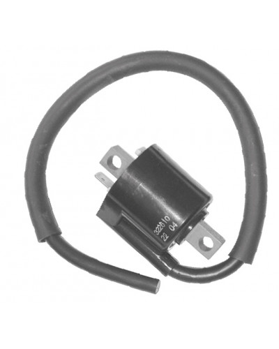 BOBINE DUCATI ENERGIA Bobine Ducati Energia BOBINE DUCATI ENERGIA Bobine Ducati Energia