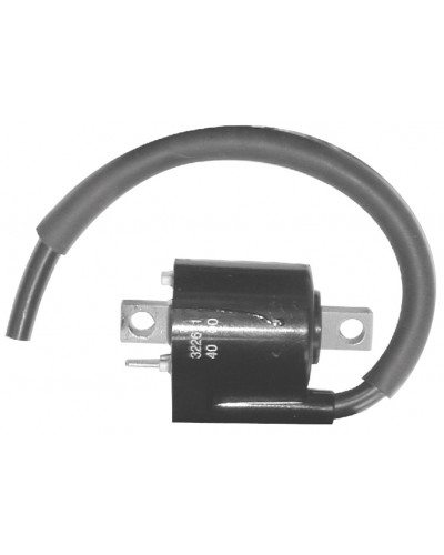 BOBINE DUCATI ENERGIA Bobine Ducati Energia BOBINE DUCATI ENERGIA Bobine Ducati Energia