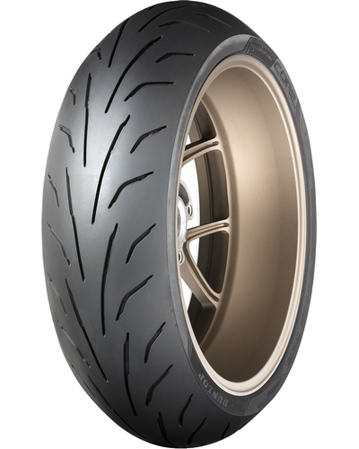 Pneu DUNLOP Route QUALIFIER CORE 160/60ZR17 (69W) TL QUALIFIER CORE