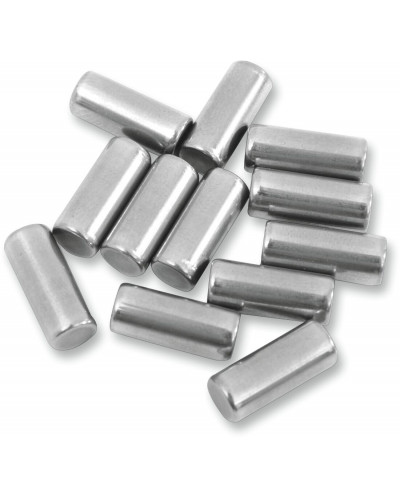 Moteur divers EASTERN MOTORCYCLE PARTS ROLLER CASE 12PK 9261 Moteur divers EASTERN MOTORCYCLE PARTS ROLLER CASE 12PK 9261