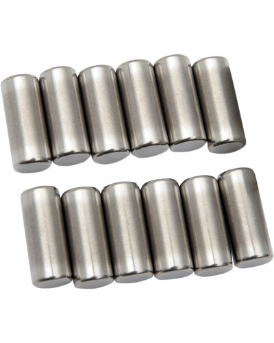Moteur divers EASTERN MOTORCYCLE PARTS ROLLER CASE 12PK 9262 Moteur divers EASTERN MOTORCYCLE PARTS ROLLER CASE 12PK 9262
