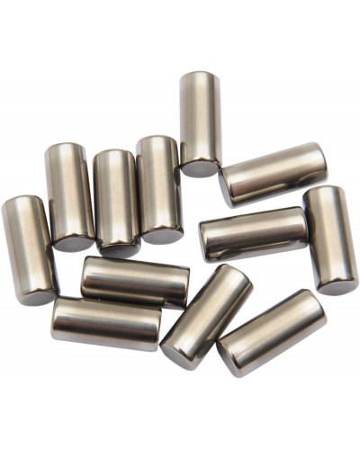 Moteur divers EASTERN MOTORCYCLE PARTS ROLLER CASE 12PK 9263 Moteur divers EASTERN MOTORCYCLE PARTS ROLLER CASE 12PK 9263