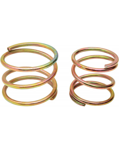 Ressort Embrayage Moto EASTERN MOTORCYCLE PARTS SPRINGS CLUTCH 71-E84 XL Ressort Embrayage Moto EASTERN MOTORCYCLE PARTS SPRINGS CLUTCH 71-E84 XL