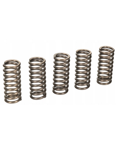 Ressort Embrayage Moto EBC CSK102 Kit de 5 ressorts embrayage EBC