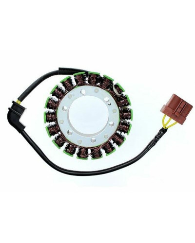 Stator Moto ELECTROSPORT Stator ELECTROSPORT Aprilia ETV1000 Caponord