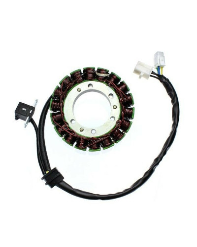 Stator Moto ELECTROSPORT Stator ELECTROSPORT Artic Cat 650