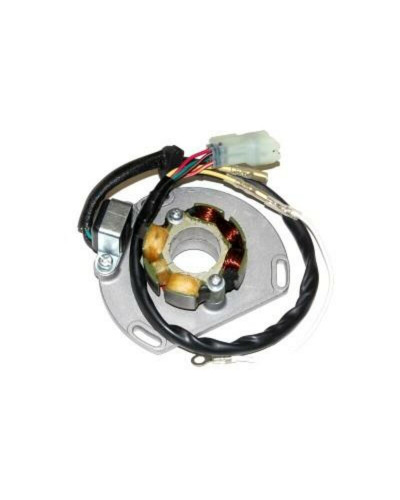 Stator Moto ELECTROSPORT Stator ELECTROSPORT avec bobine d'éclairage KTM SX125/144/150/250