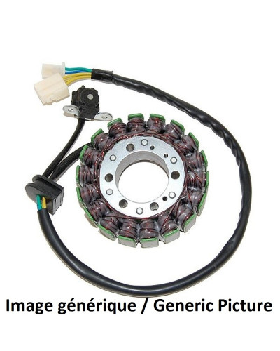 Stator Moto ELECTROSPORT Stator ELECTROSPORT BMW G650