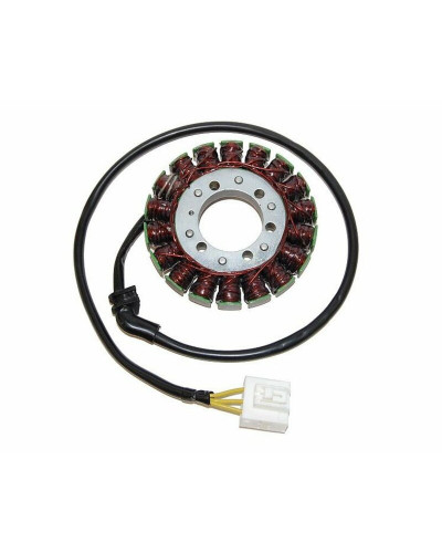 Stator Moto ELECTROSPORT Stator ELECTROSPORT Honda CBF1000