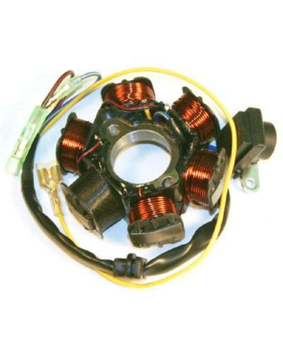 Stator Moto ELECTROSPORT Stator ELECTROSPORT Honda XR100R/CRF100F