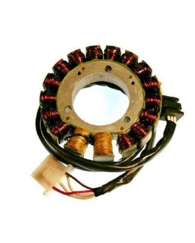 Stator Moto ELECTROSPORT Stator ELECTROSPORT Kawasaki KLR650 Tengai