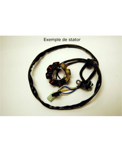 Stator Moto ELECTROSPORT Stator ELECTROSPORT Kawasaki KX85/KX100