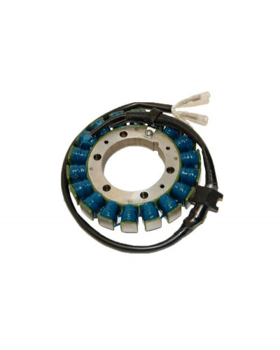 Stator Moto ELECTROSPORT Stator ELECTROSPORT Kawasaki VN1500 Vulcan