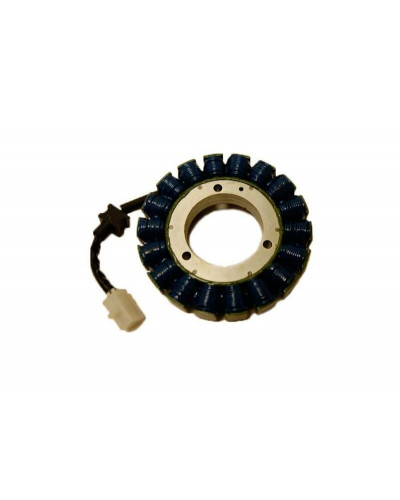 Stator Moto ELECTROSPORT Stator ELECTROSPORT Kawasaki VN1500