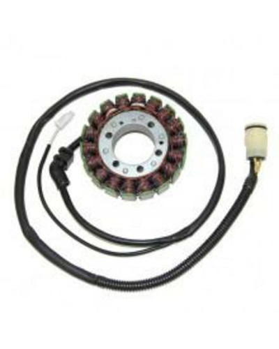 Stator Moto ELECTROSPORT Stator ELECTROSPORT Kawasaki ZX12R